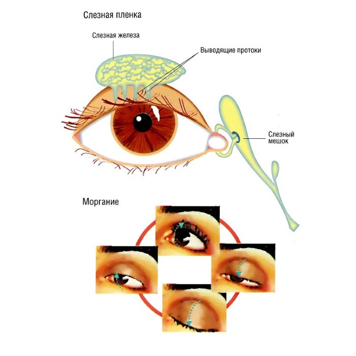 Sensivito taikymas akių ligų gydymui