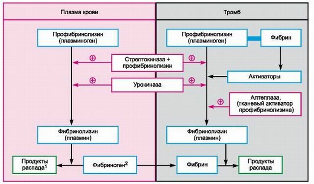 Instruktioner för användning av läkemedlet Streptokinas