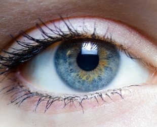Fukitaalne - silmainfektsioonide kiire ravi igas vanuses patsientidel