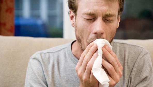 grønn sputum når hoste med feber