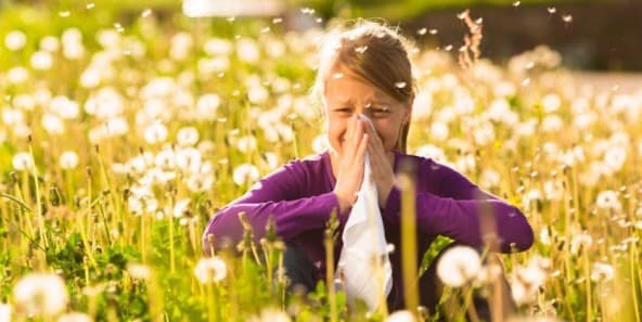Why did my sense of smell disappear with a cold, and what should I do?