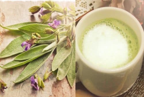 Recipes for cough and sage